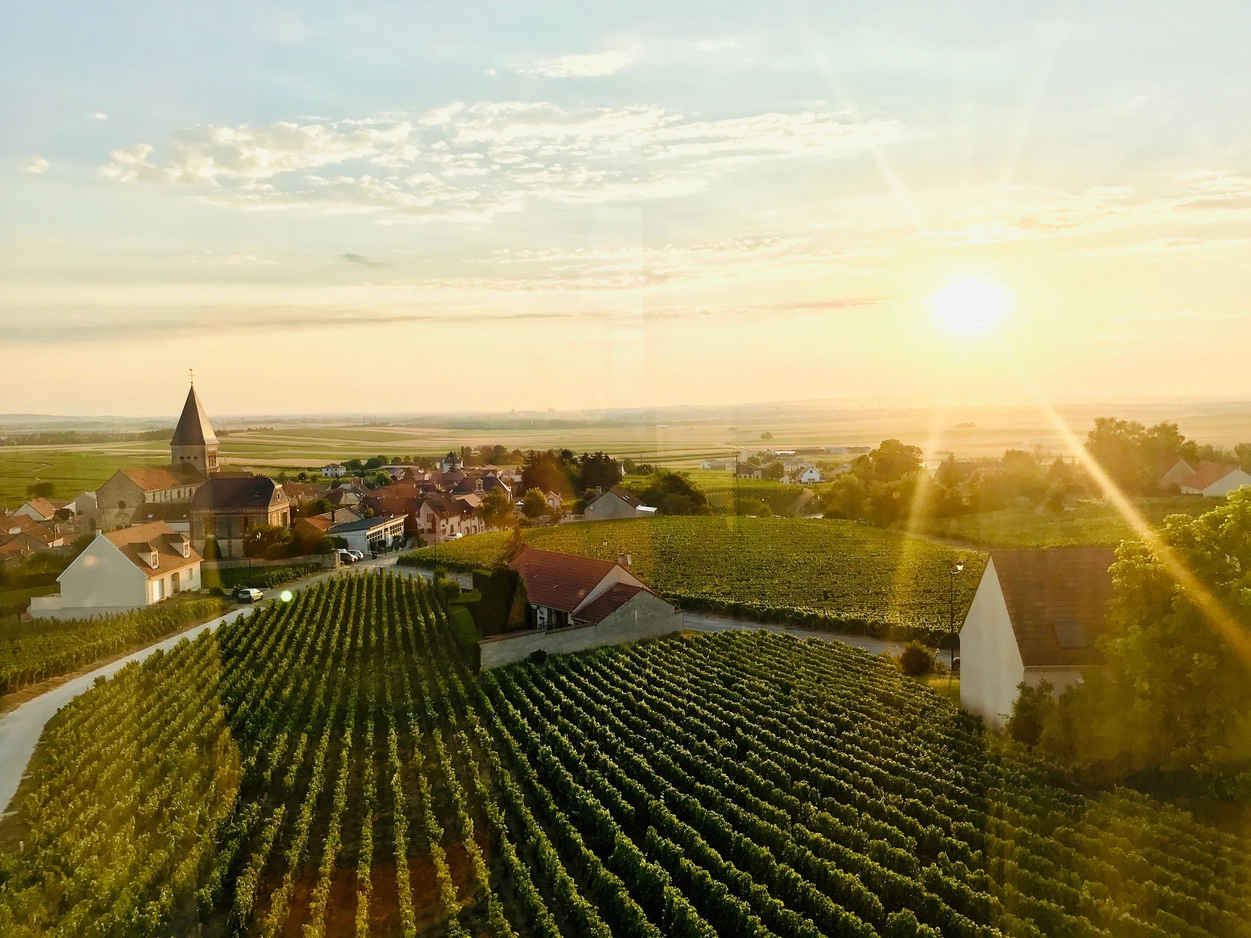 Sacy and the vineyards of Champagne in the setting sun